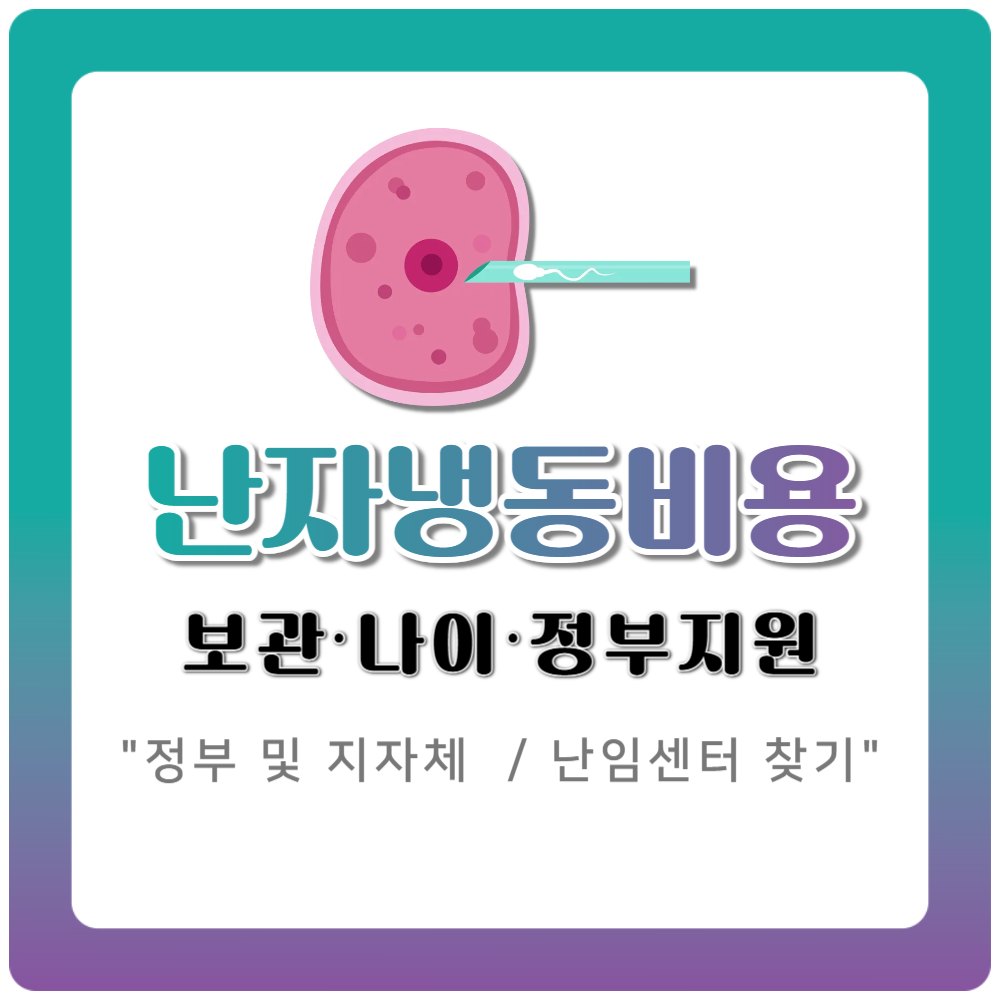 난자 냉동 비용 현실비교｜보관비용·정부지원·적정 나이 한눈에