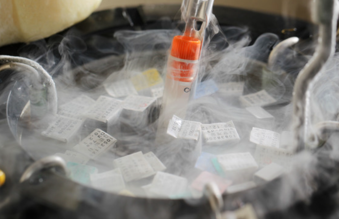 난자 냉동 비용과 정부 지원 안내 이미지