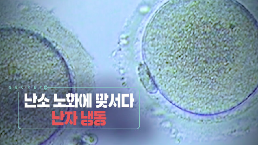 난자 냉동 비용을 알아보는 산부인과 상담 이미지