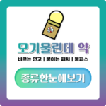 모기물린데 약, 바르는 연고·붙이는 패치 종류와 부어오름 대처 정리