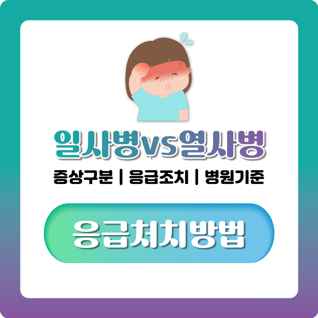 일사병 열사병 차이, 증상 구분부터 응급조치까지 한눈에 정리