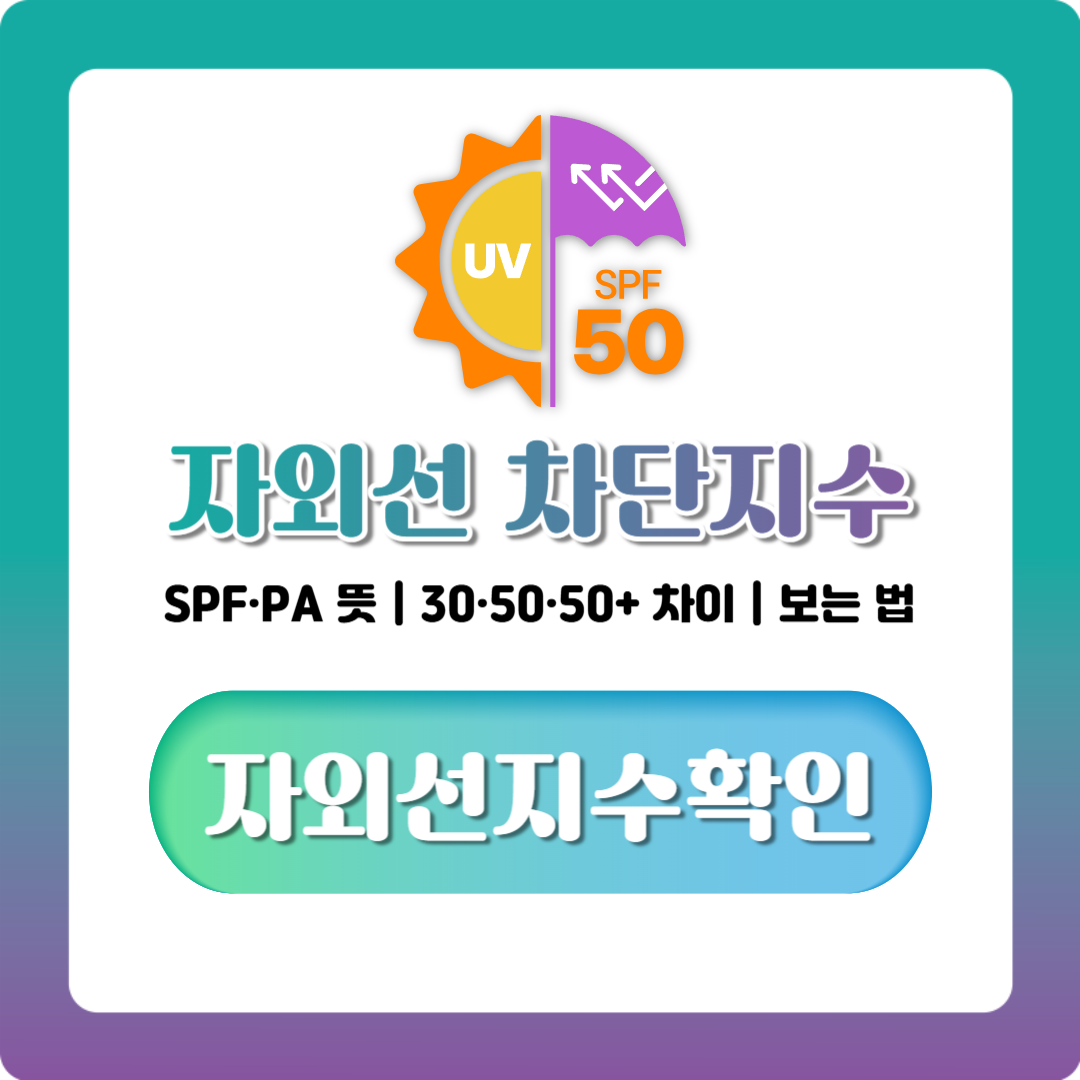 자외선 차단지수 보는 법, SPF·PA 읽는 법과 50+·100 차이 정리