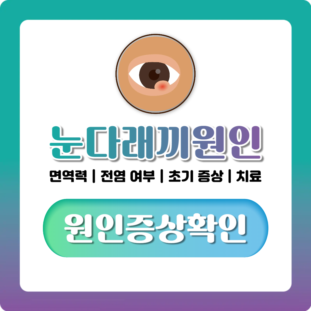 눈다래끼 원인, 면역력·전염 여부부터 초기 증상까지 한번에 정리