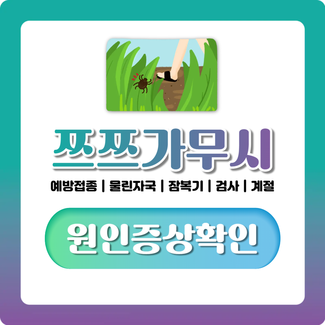 쯔쯔가무시 증상, 물린자국·잠복기부터 검사·치료까지 정리