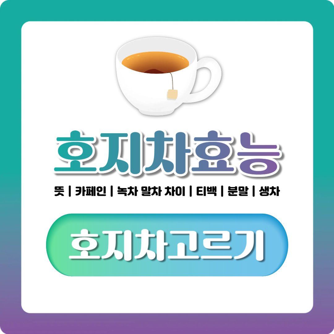 호지차 뜻부터 카페인·효능까지, 녹차·말차와 뭐가 다를까