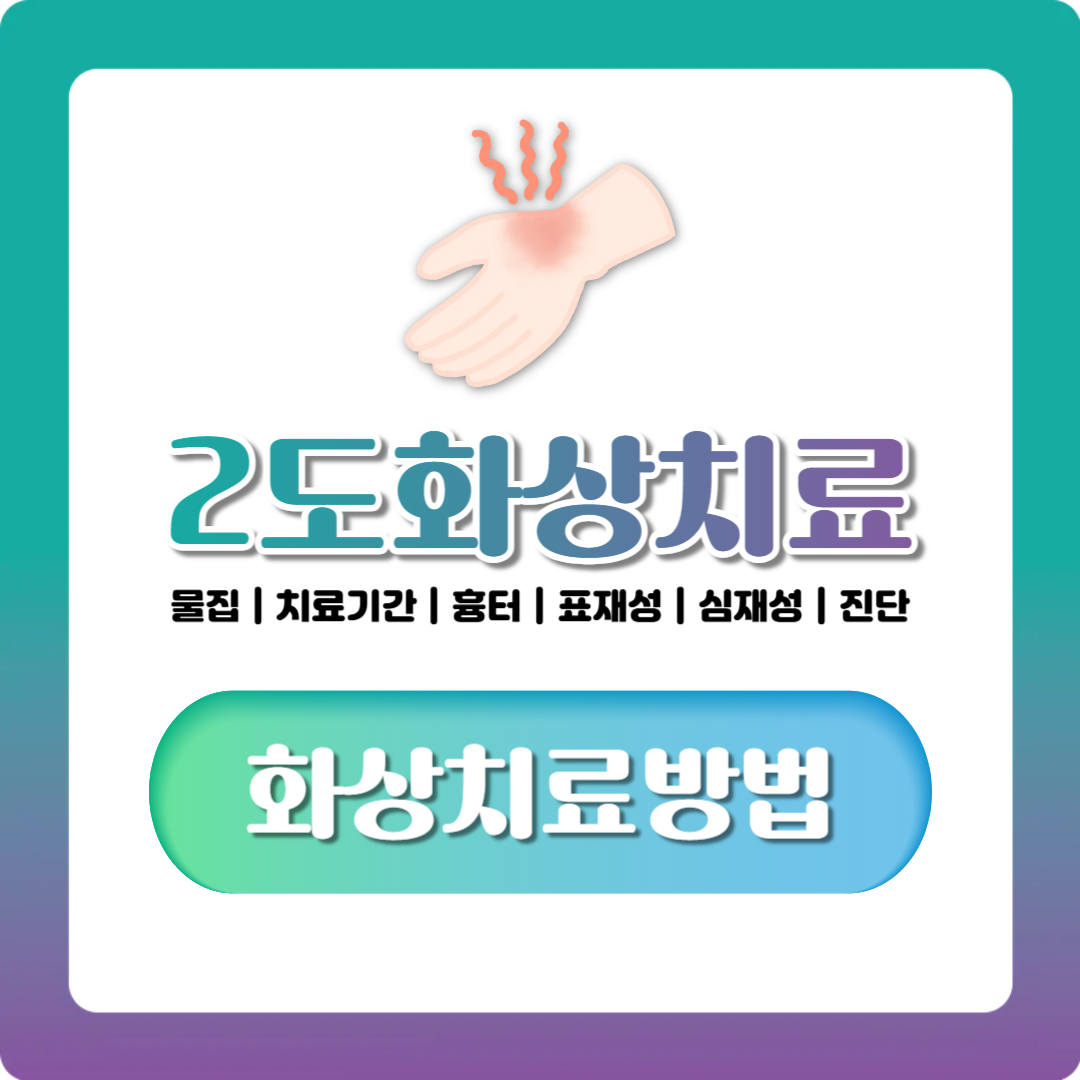 2도화상 증상과 치료기간, 물집·흉터 걱정될 때 확인 기준 정리