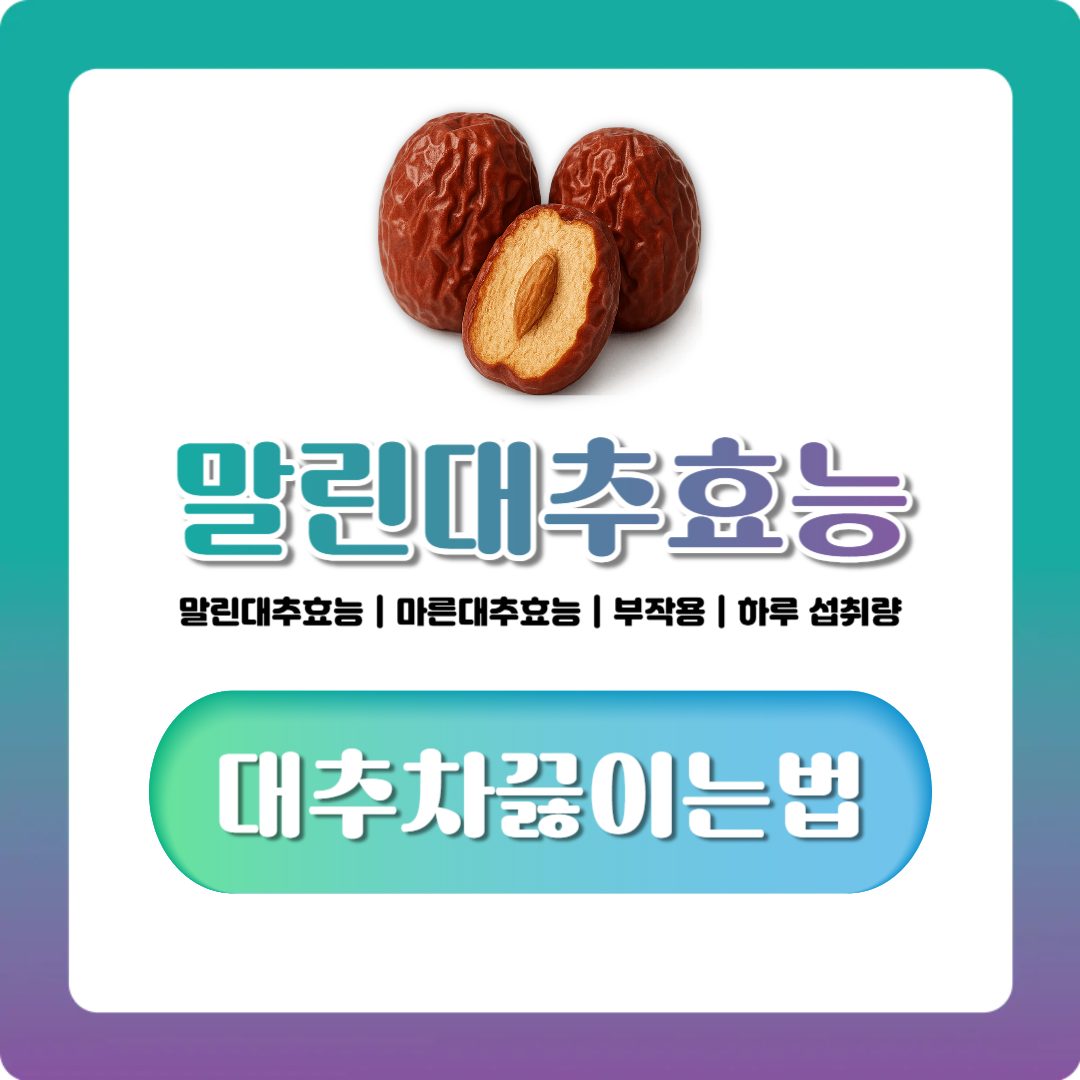 대추 효능 총정리, 말린대추효능부터 부작용·끓이는법까지 한눈에