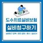 도수치료 실비 보험 적용 금액과 횟수제한, 관리급여 뜻까지 한번에 정리 도수치료 실비 보험 적용 금액과 횟수제한, 관리급여 뜻까지 한번에 정리