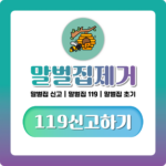 말벌집 제거 119 신고 기준부터 아파트 말벌집 대처까지 한번에 정리 말벌집 제거 119 신고 기준부터 아파트 말벌집 대처까지 한번에 정리