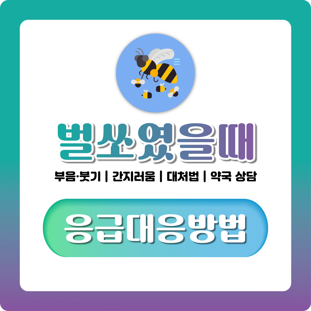 벌 쏘였을때 응급처치 순서부터 병원 무슨과까지 한 번에 정리