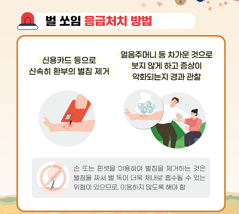벌 쏘였을때 피부에 나타나는 반응 설명 이미지