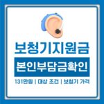 보청기 지원금 131만원, 대상 조건과 신청 방법부터 보청기 가격까지 정리 보청기 지원금 131만원, 대상 조건과 신청 방법부터 보청기 가격까지 정리